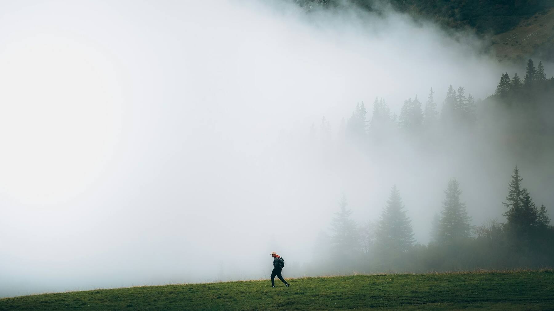 A lone figure crosses a grassy hill in dense fog, trees fading behind